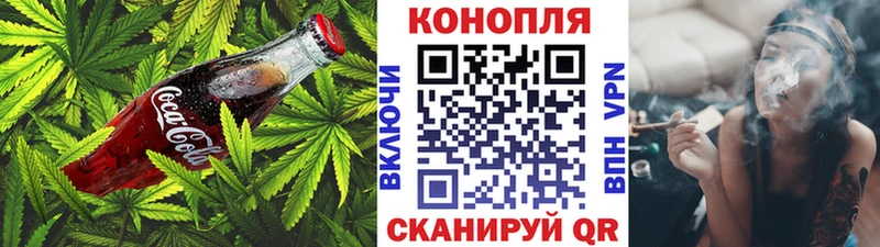 Canna-Cookies марихуана  Судогда 