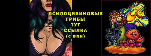 стаф Белоозёрский