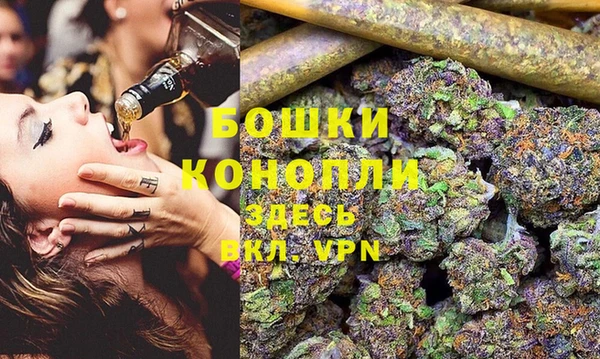 стаф Белоозёрский