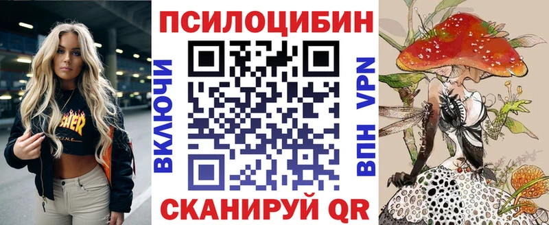 Галлюциногенные грибы Psilocybe Судогда
